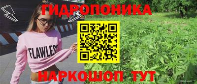 СК Кулебаки